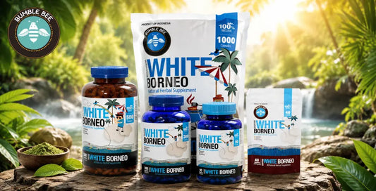 Bumblebee White Borneo Kratom: Complete Effects, Dosage & Guide