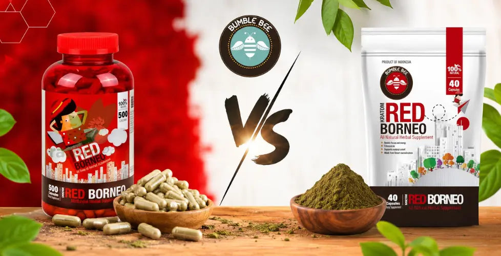 Kratom Capsules vs Powder: Which Is Better for Beginners?