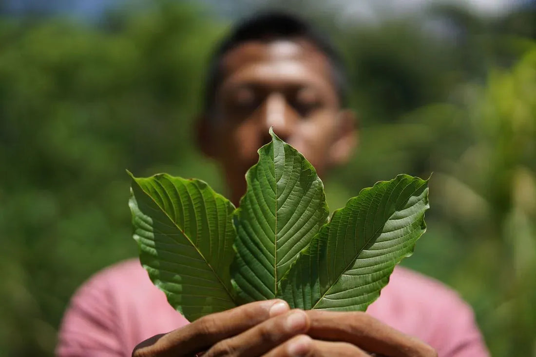 How to Choose the Right Kratom Strain