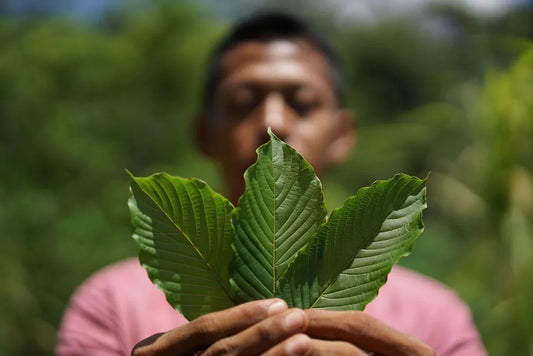 How to Choose the Right Kratom Strain